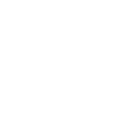 Neu: Pandemieschtze hier erhltlich